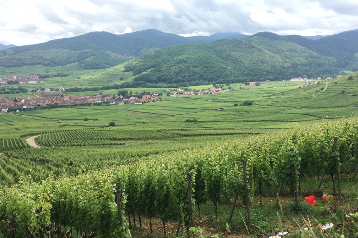 L'Alsace, une terre à part entière